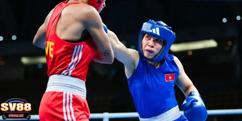 Cá cược Boxing là gì?