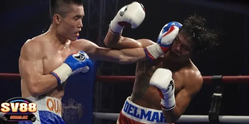 Luật chơi cá cược boxing với những quy tắc quan trọng