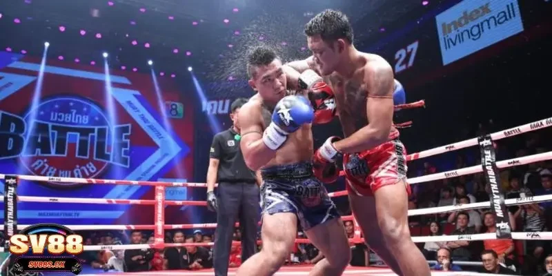 Bật mí kinh nghiệm cá cược Boxing để chiến thắng nhanh chóng
