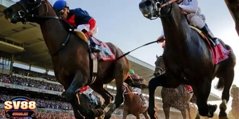 Phân tích tỷ lệ kèo trong cá cược đua ngựa chính xác