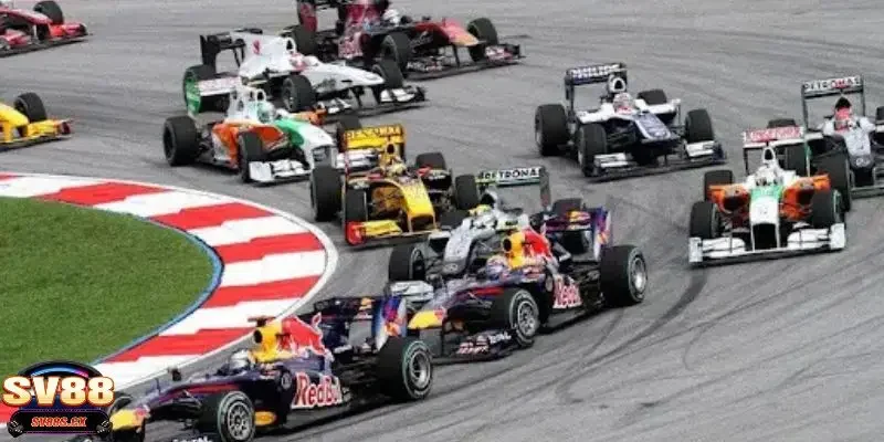 Giới thiệu thông tin chung về cá cược đua oto