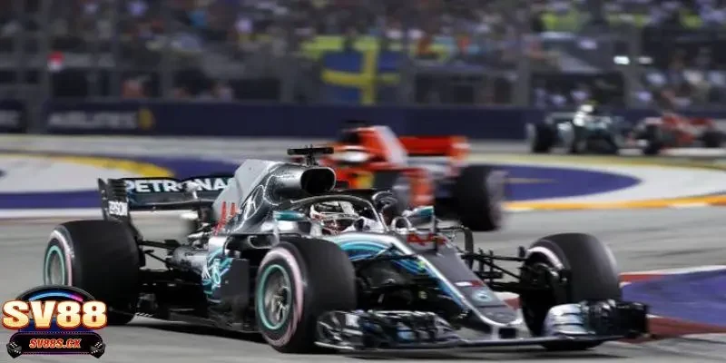 Tìm hiểu chi tiết những thông tin cơ bản về cá cược đua oto