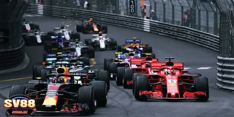 Tổng hợp về các thuật ngữ cần biết khi tham gia cá cược đua oto