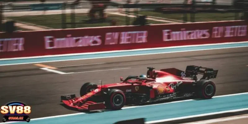 cá cược đua oto