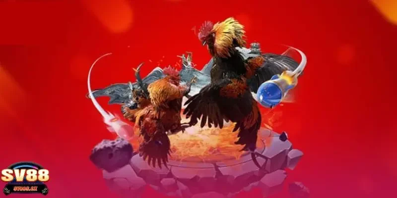 kinh nghiệm cá cược đá gà