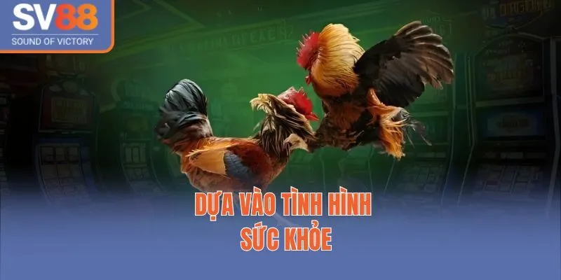 Dựa vào tình hình sức khỏe