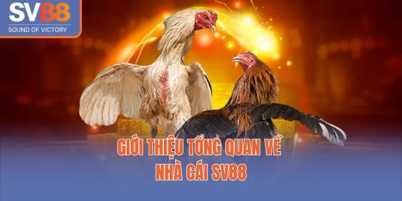 Giới thiệu tổng quan về nhà cái SV88